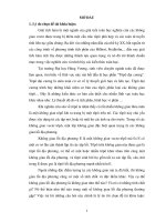 Một số vấn đề về không gian lồi địa phương