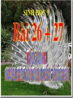 TH- Quan sat dot bien + thuong bien