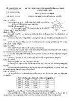 Đề thi giáo viên giỏi môn Địa THPT chu kỳ 2008 - 2011_Nghe An