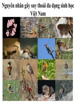 nguyên nhân gây suy thoái ĐDSH ở Việt Nam