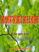 day thon vi da-han mac tu