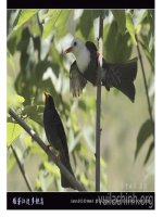 Bai 24. KN chi tiet may va lap ghep- THCS TTCM-BK