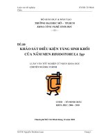 luận văn tốt nghiệp ngành công nghệ sinh học: khảo sát khả năng tăng sinh khối của nấm men Rhodotorula
