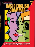 Basic English Grammar 1