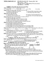 Đề Thi HKI - Vật Lý 9 - (10-11)