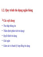 Chương 1 quy trình tín dụng