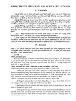 bài dự thi tìm hiểu luật biên giới