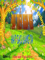 thơ hạt gạo làng ta