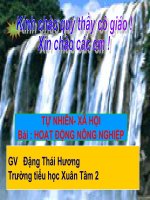 TNXH Hoạt động nông nghiệp
