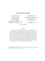 morris and song shin-liquidity black holes