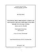 so sánh sự phát triển bộ rễ và phân lập gen gmexp1 liên quan đến khả năng kéo dài rễ của cây đậu tương [glycine max (l.) merrill]