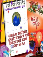 Bài 8: Liên Bang Nga_tiết 1