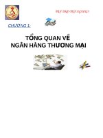 Bài giảng tổng quan về ngân hàng thương mại - vị trí của ngân hàng trong thị trường tài chính