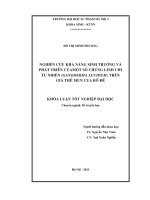 Nghiên cứu khả năng sinh trưởng và phát triển của một số chủng Linh Chi tự nhiên (Ganoderma Lucidum) trên giá thể mùn cưa Bồ đề