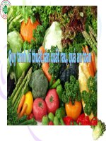 sử dụng thuốc bảo vệ thực vật an toàn