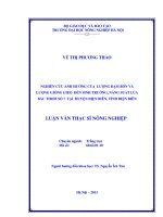 Nghiên cứu ảnh hưởng của lượng đạm bón và lượng giống gieo đến sinh trưởng, năng suất lúa bắc thơm số 7 tại Huyện Điện Biên, tỉnh Điện Biên