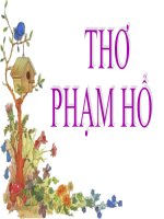 đàn gà mới nở, đôi que đan....