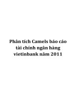 phân tích camels báo cáo tài chính ngân hàng vietinbank