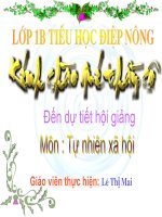 An toàn trên đường đi học - lớp 1