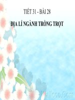 BAI 28 - DIA LI NGANH TRONG TROT