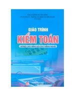 Giáo trình kiểm toán  ths  đồng thị vân hồng