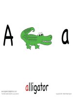 flash cards front set