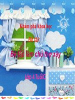 chu diem nghe nghiep