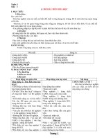 GA Hoa Hoc 8 (Giam tai)