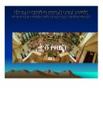 Bài giảng về cổ phiếu