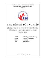 phân tích tình hình tài chính tại công ty cổ phần điện máy, hoá chất thanh hoá