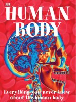 human body e