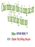 giáo án bồi dưỡng tham khảo thao giảng thi giáo viên giỏi sinh học lớp 9 bài mối quan hệ giữa gen và tính trạng (1)