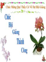 Quần âu nữ cạp chun