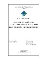 Phân tích rủi ro tín dụng ngân hàng nông nghiệp và phát triển nông thôn chi nhánh ninh kiều