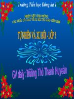 Lang que va do thi-Hay