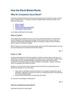 economics - how the stock market works