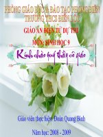 giáo án bồi dưỡng tham khảo thao giảng thi giáo viên giỏi sinh học lớp 9 bài mối quan hệ giữa gen và tính trạng (5)