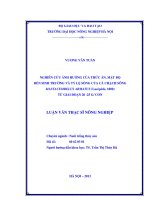 Nghiên cứu ảnh hưởng của thức ăn, mật độ đến sinh trưởng và tỷ lệ sống của cá chạch sông mastacembelus armatus(lacépède, 1800) từ giai đoạn 20/25g con