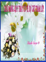 bai 32 cong nghe gen