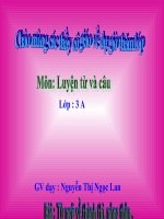 MRVT: thành thị- nông thôn