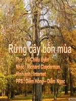 Rung cay bon mua