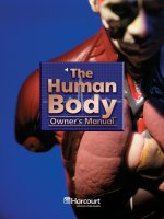 the human body owner''s manual