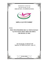 phân tích tình hình cho vay trung – dài hạn tại mhb cần thơ