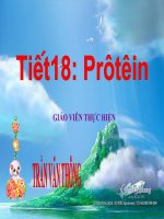 giáo án tham khảo bồi dưỡng thao giảng, thi giáo viên giỏi sinh học lớp 9 bài protein (3)