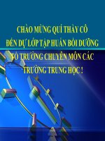 Boi duong to truong chuyen mon (chuyen dề  1)