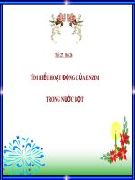 bài 26 TH: Tìm hiểu hoạt động của Enzim trong nước bot