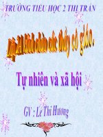 Bai: An uong sach se