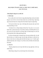 CHUYÊN đề 4 HOẠT ĐỘNG tín DỤNG CHO VAY THẤU CHI và CHIẾT KHẤU GIẤY tờ có GIÁ