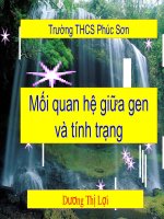 giáo án bồi dưỡng tham khảo thao giảng thi giáo viên giỏi sinh học lớp 9 bài mối quan hệ giữa gen và tính trạng (3)
