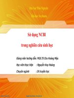 Hướng dẫn sử dụng NCBI